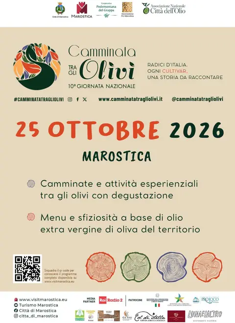 Camminata tra gli Olivi