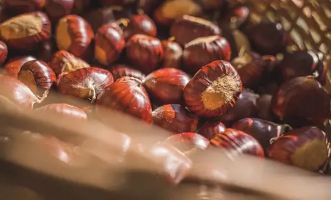 Festa dei Maroni
