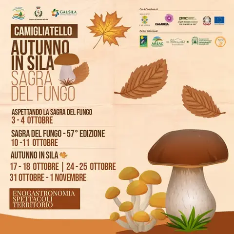 Autunno in Sila & Sagra del Fungo