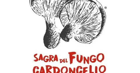 Sagra del fungo cardoncello
