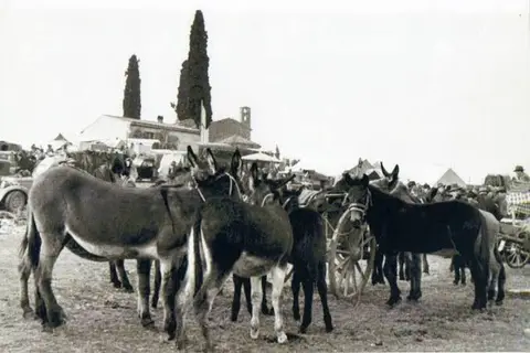 Antica Fiera di Cavalcaselle