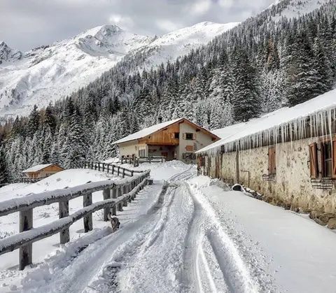 Mercatino di Natale a Martello – Malga Enzian