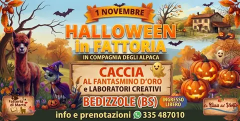 Laboratori halloween in fattoria con alpaca