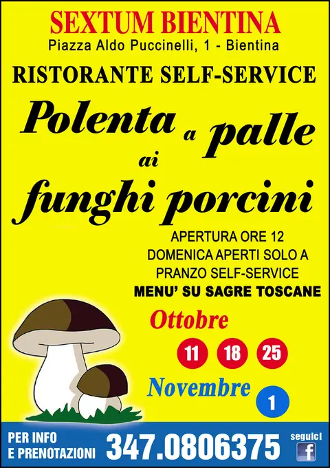 Festa della Polenta a palle ai Funghi porcini