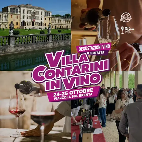 Villa Contarini in Vino