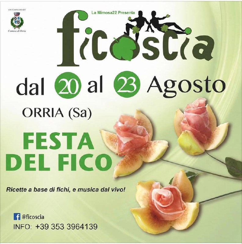 Festa del Fico