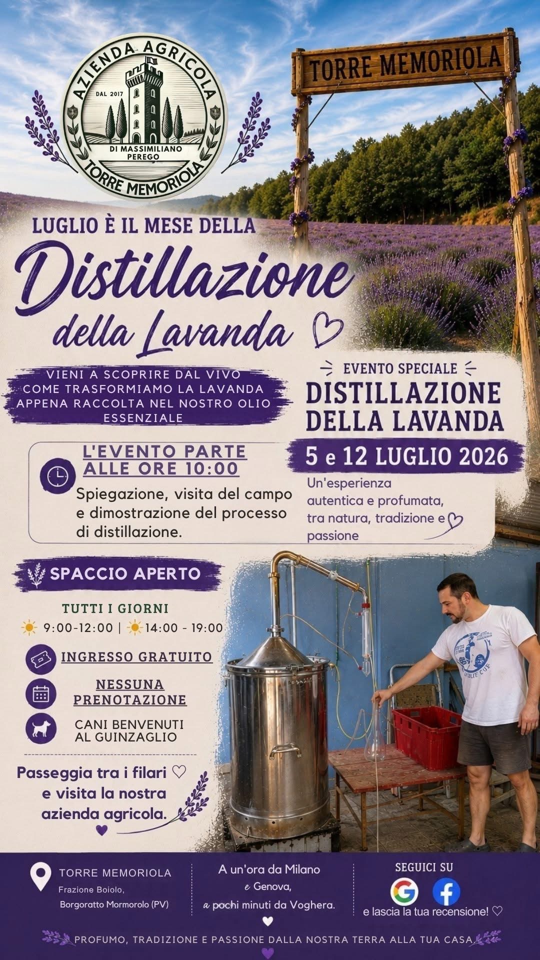 Distillazione della Lavanda