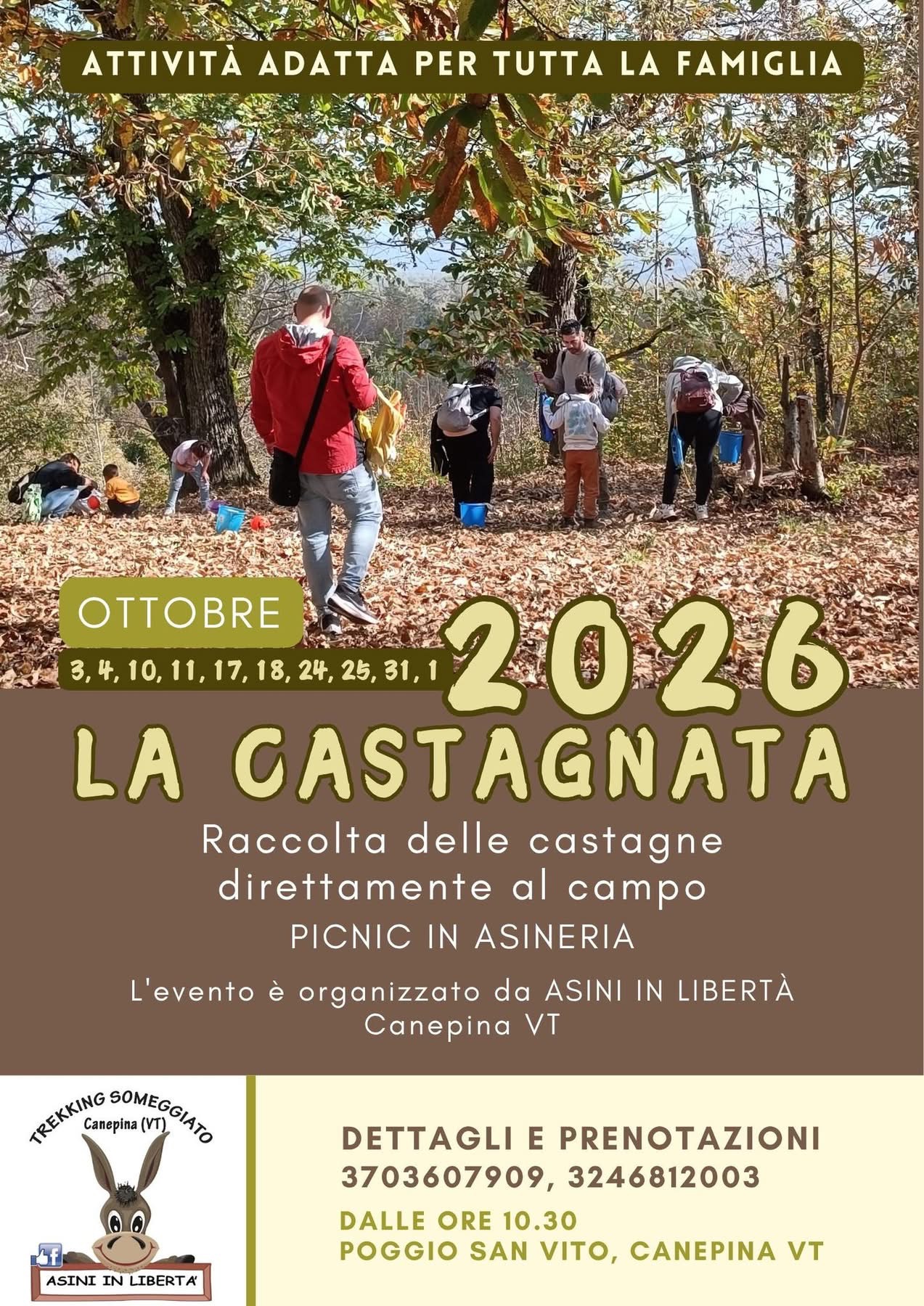 La castagnata - Chestnut Harvest & Donkey Trekking