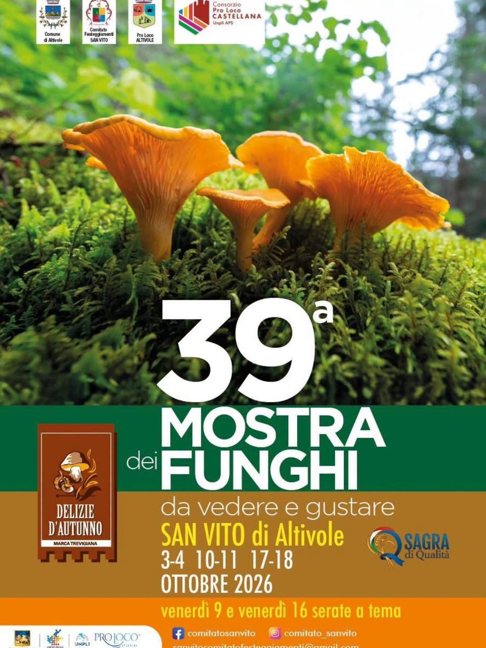 Mostra dei Funghi