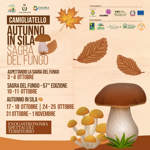 Autunno in Sila & Sagra del Fungo