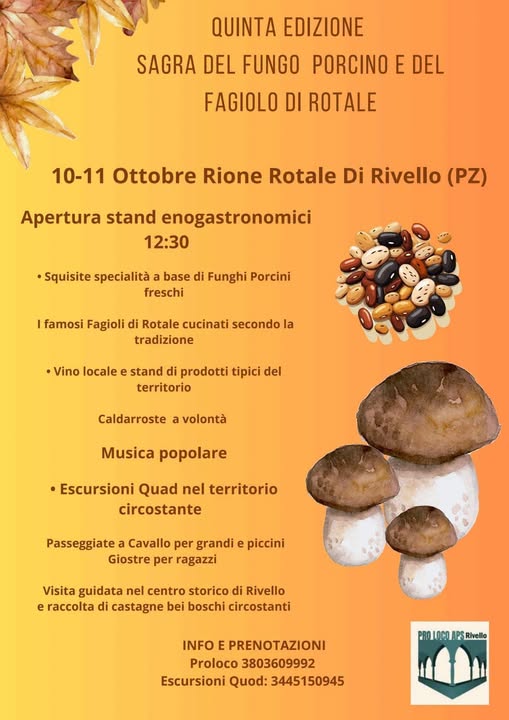Sagra del Fungo Porcino e del Fagiolo di Rotale