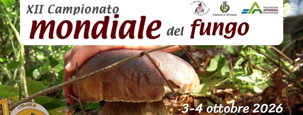 12° Campionato Mondiale del Fungo