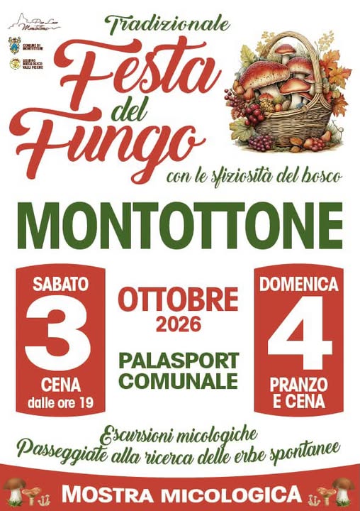 Festa del Fungo