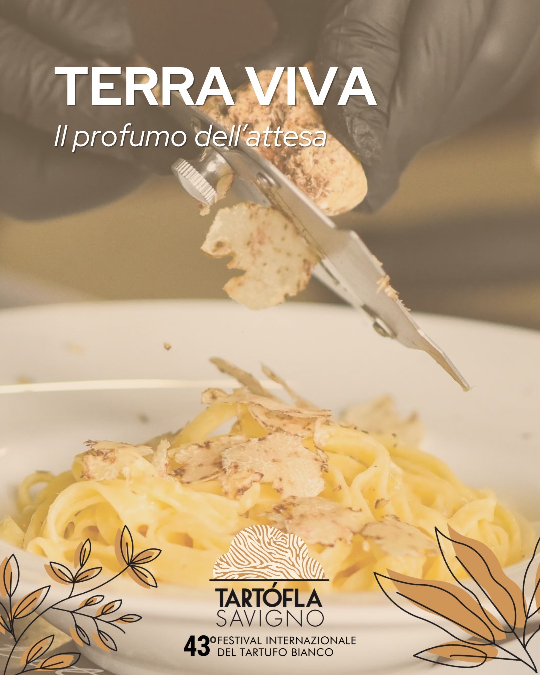 43rd Tartófla – International White Truffle Festival