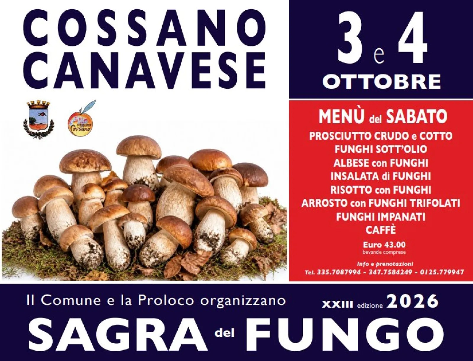 Sagra del fungo - Mushroom Festival