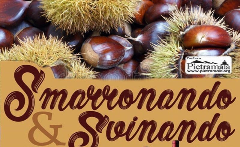 Smarronando & Svinando