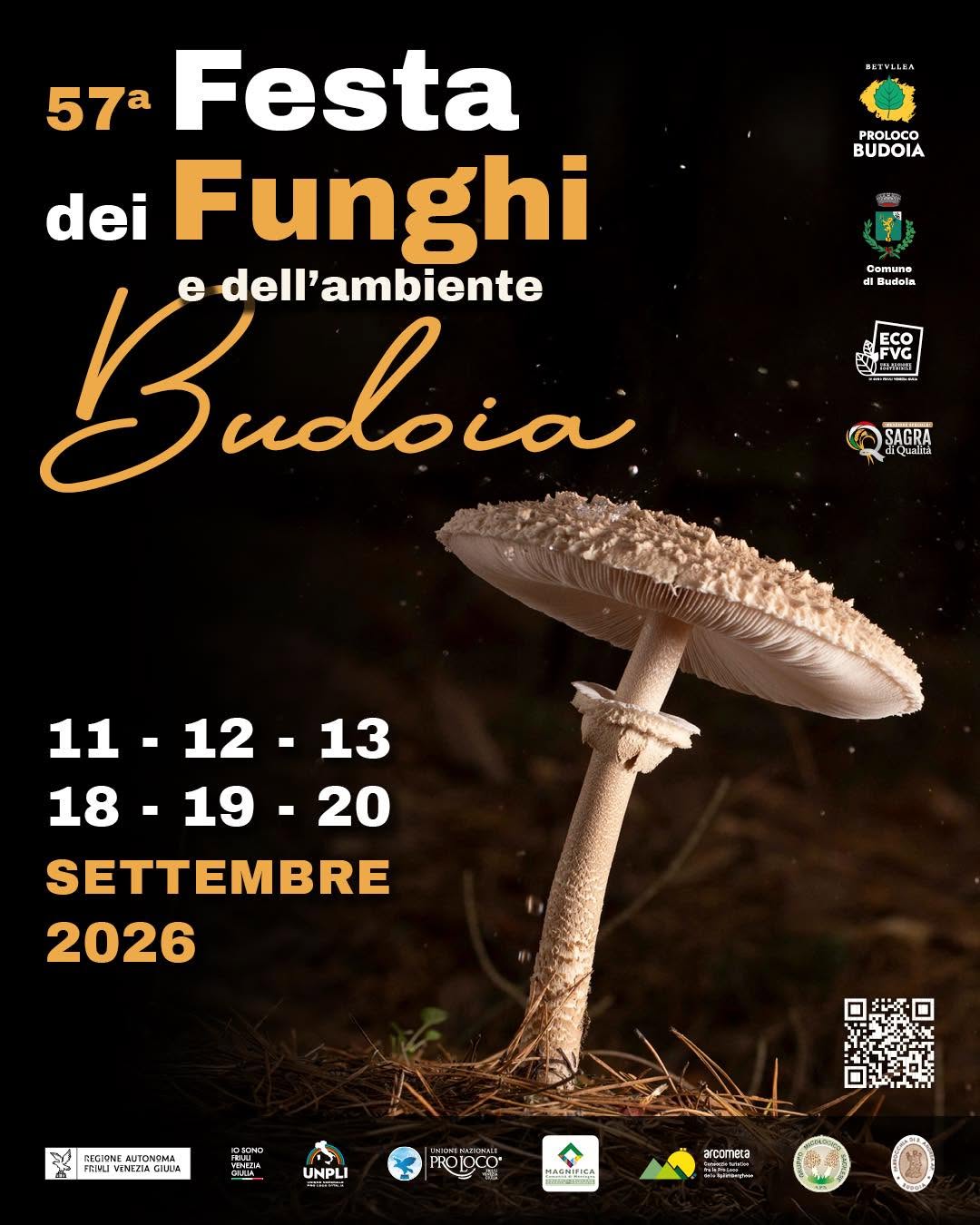 Festa dei Funghi e dell'Ambiente