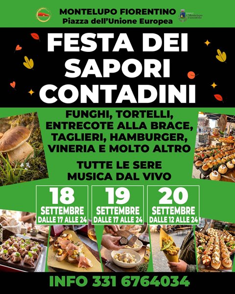 Festa dei Sapori Contadini
