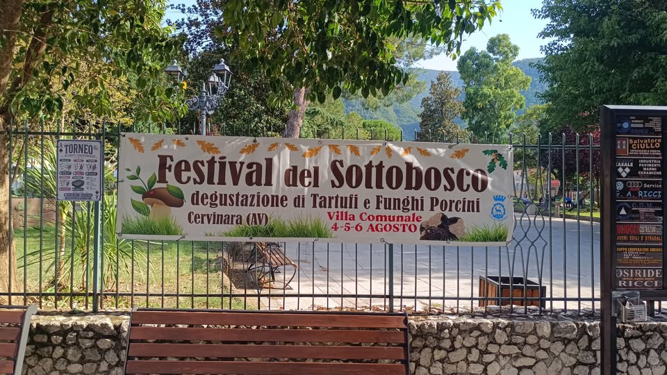 Festival del sottobosco