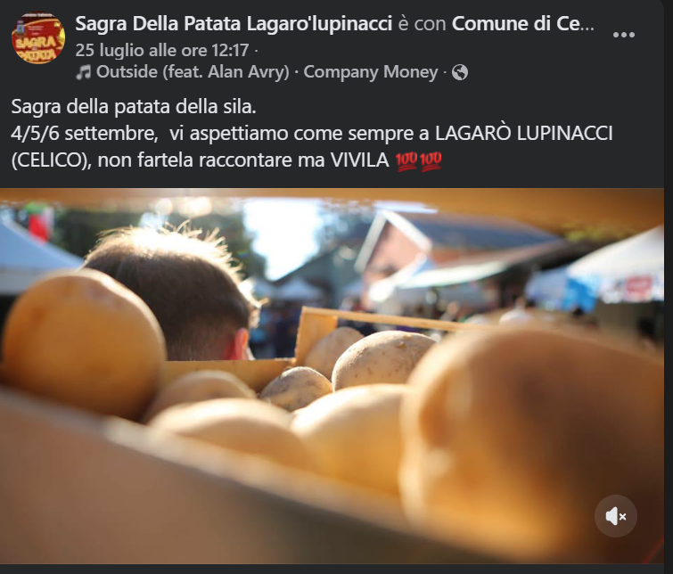 Sagra della patata della Sila
