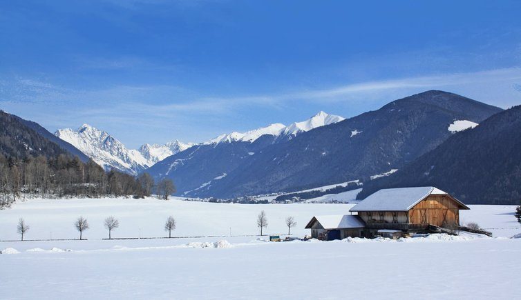 Natale nel parco di Rasun — Rasun-Anterselva