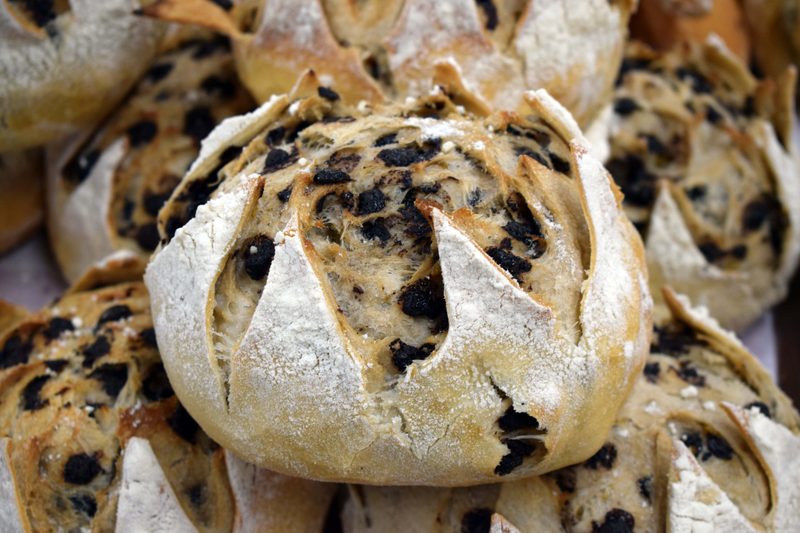 Pane