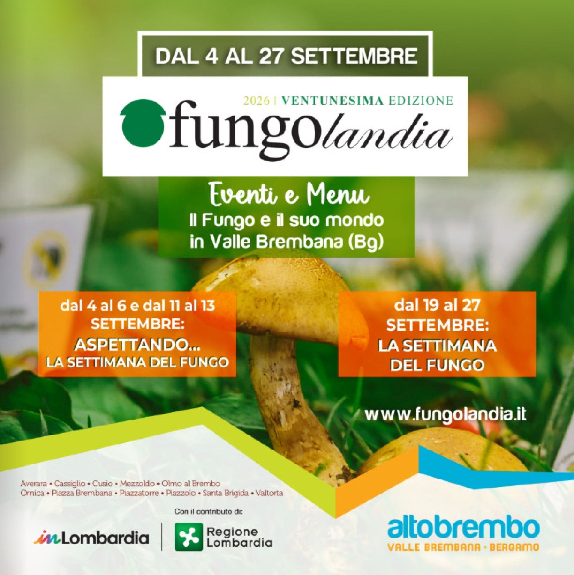 Fungolandia