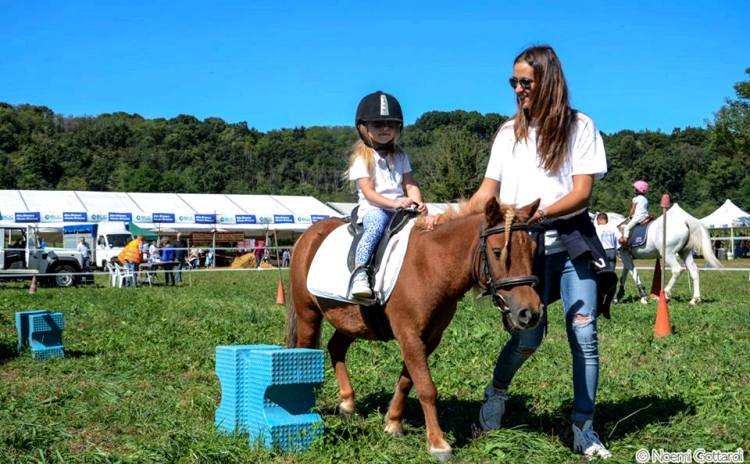 Fiera Secolare Madonna di Rogoredo – Alzate Brianza
